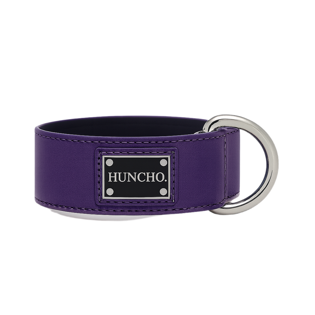 Purple Clip Leather Collar