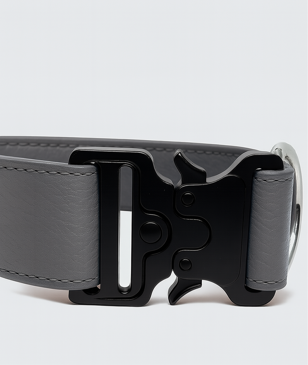 Stormy Clip Leather Collar