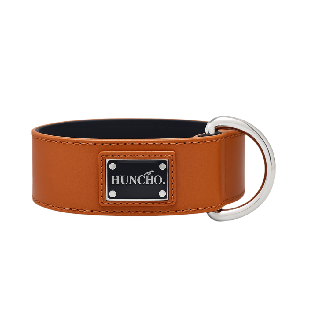 Beethoven Clip Leather Collar