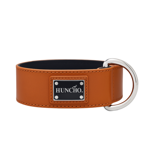 Beethoven Clip Leather Collar