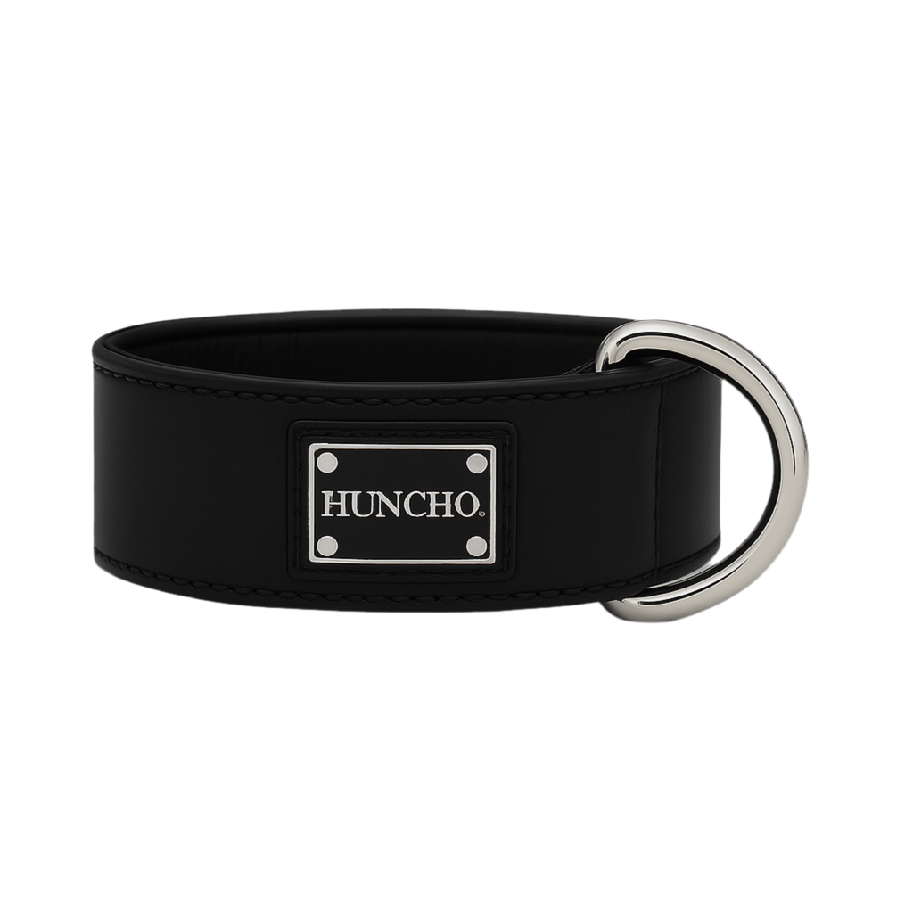 Black Clip Leather Collar