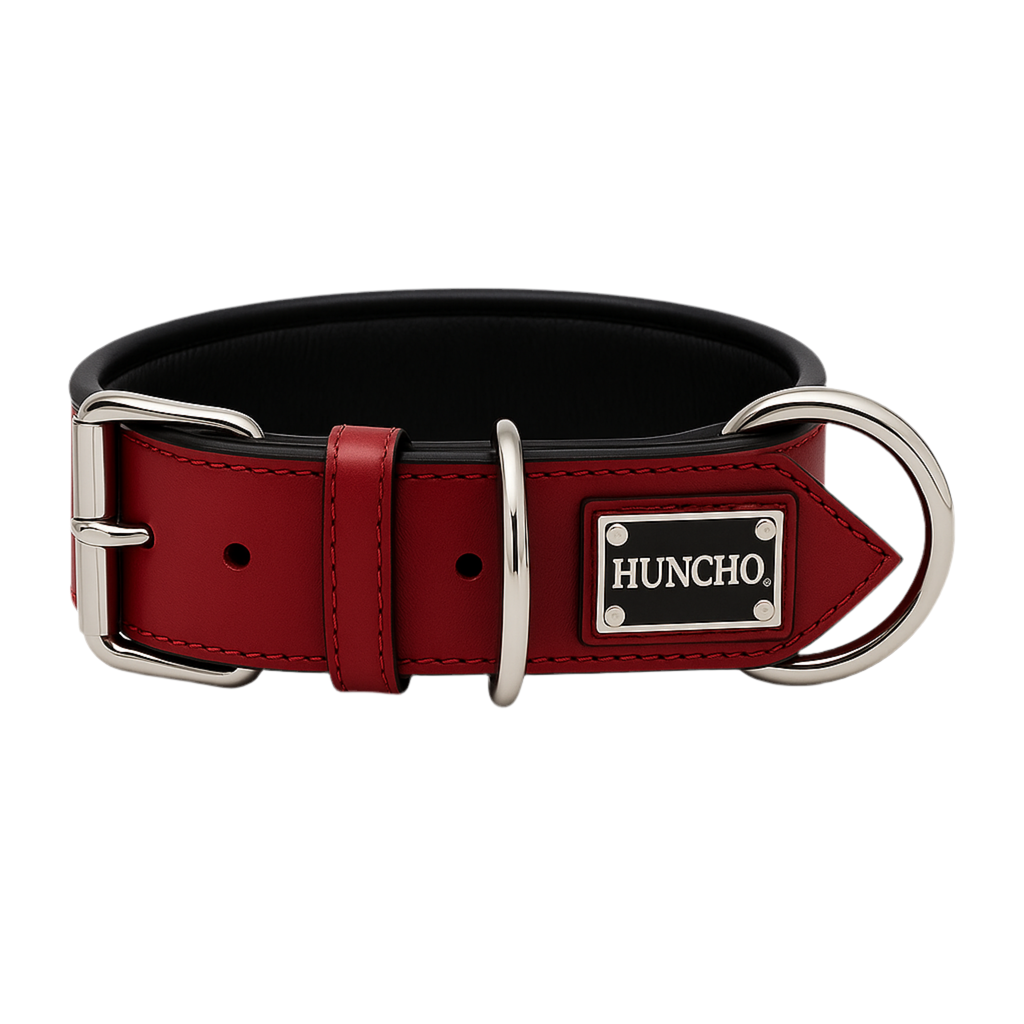 Ruby Red Leather Collar