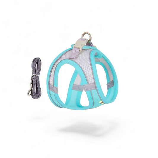 Air Mesh Harness & Leash