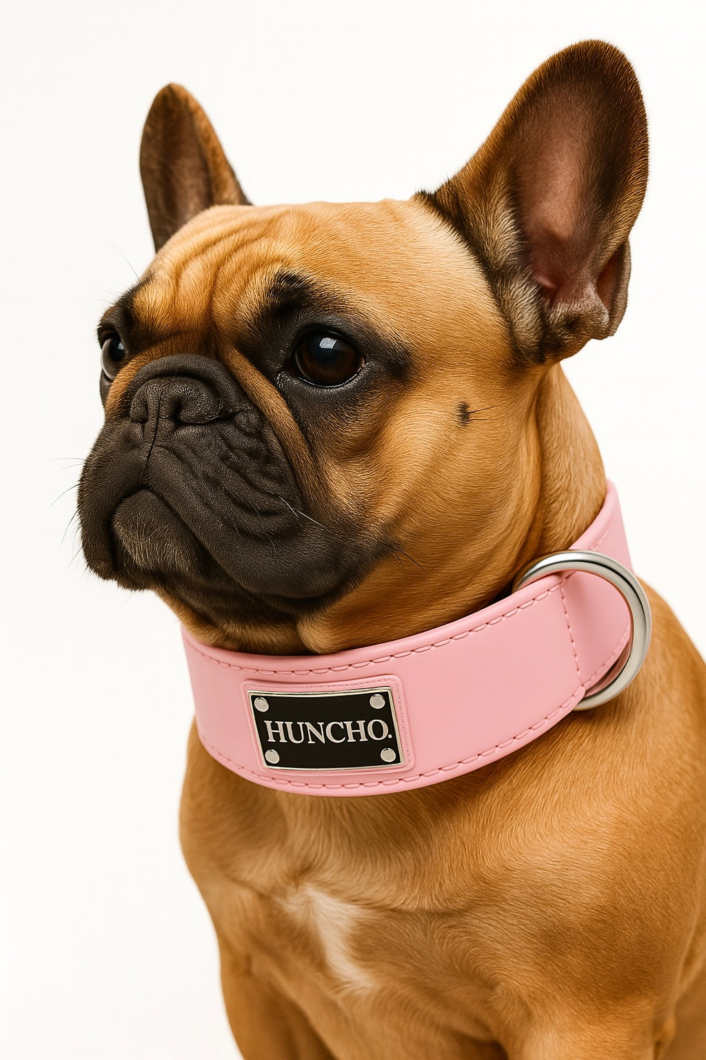 Rose Clip Leather Collar