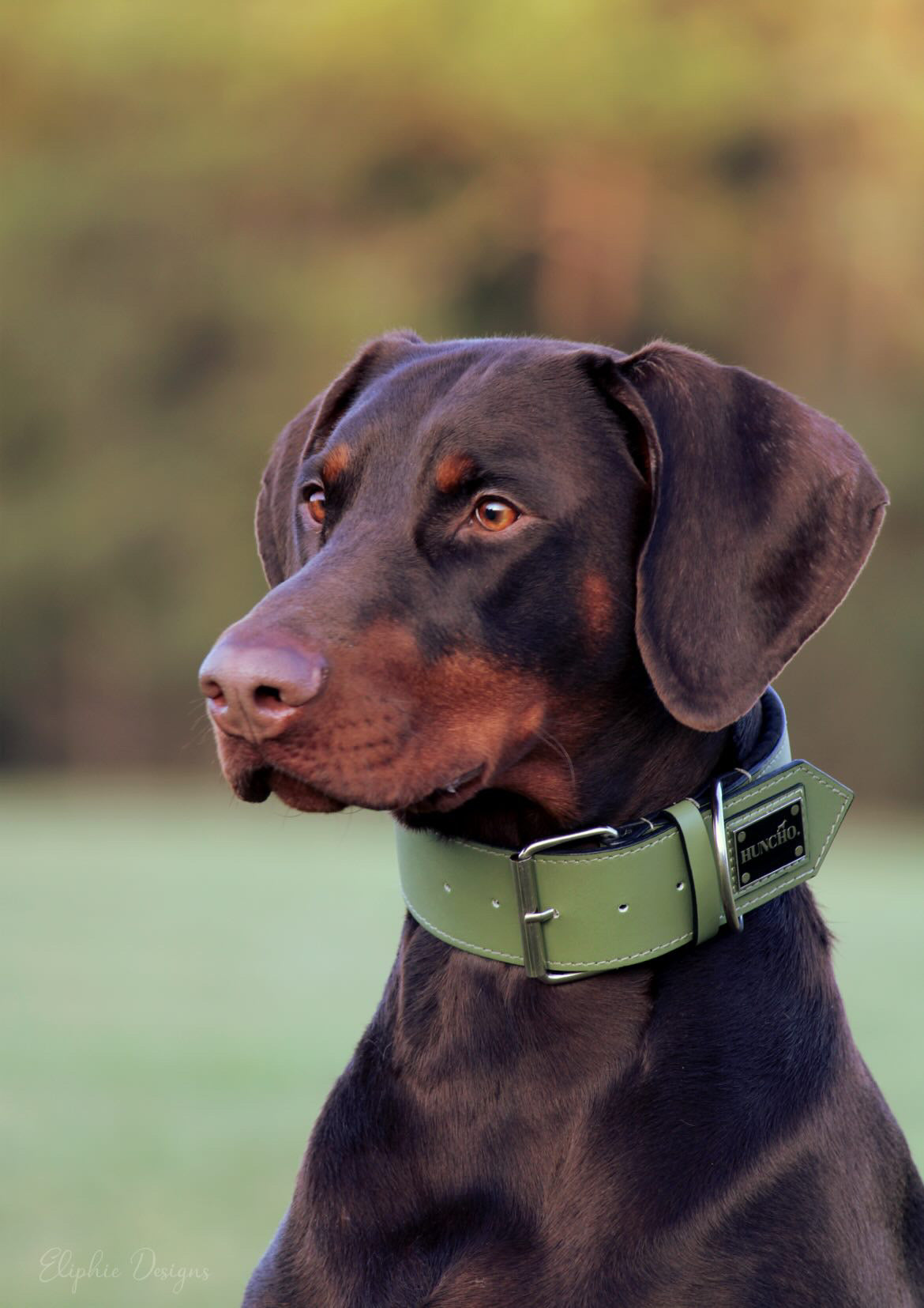 Khaki Leather Collar