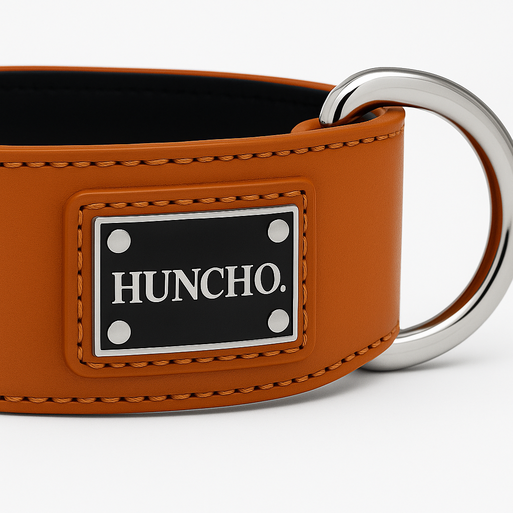 Beethoven Clip Leather Collar