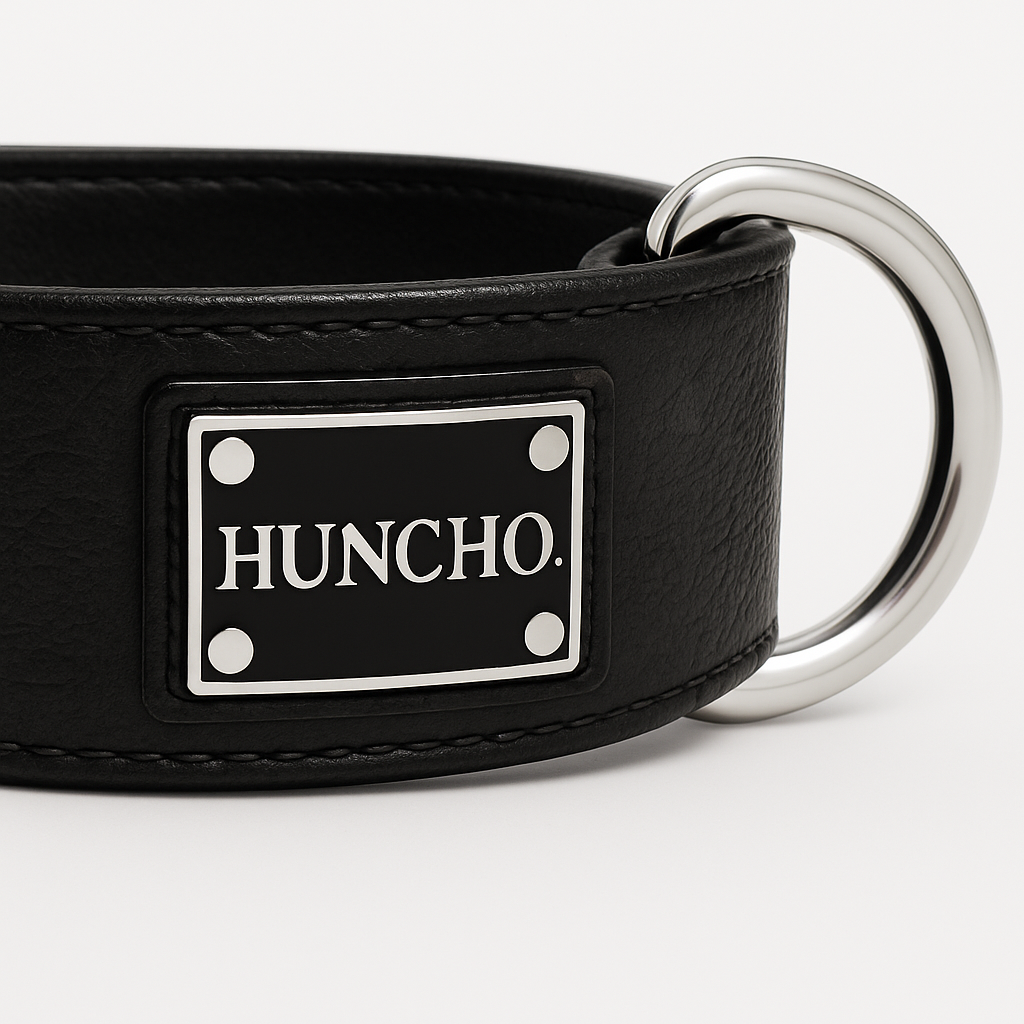 Black Clip Leather Collar