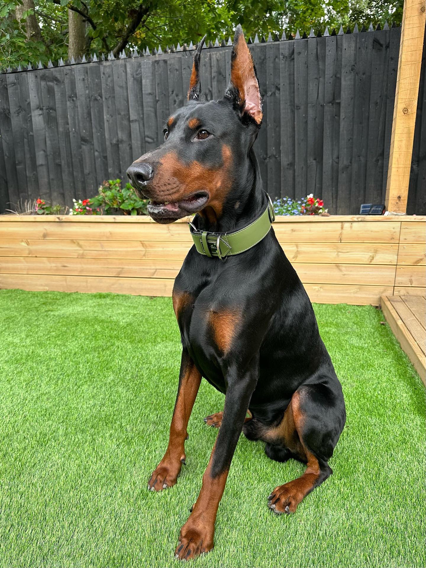 Khaki Leather Collar