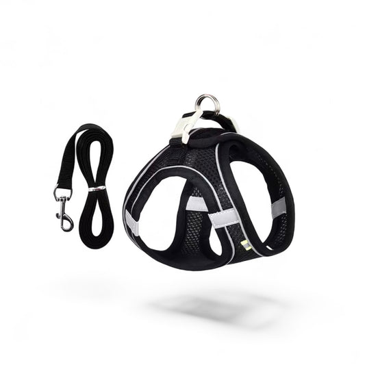 Air Mesh Harness & Leash