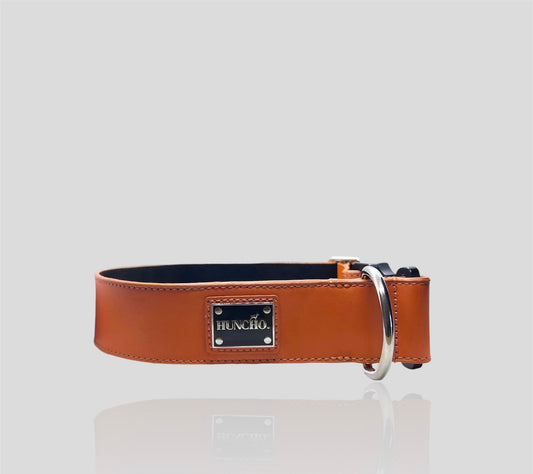 Beethoven Leather Collar